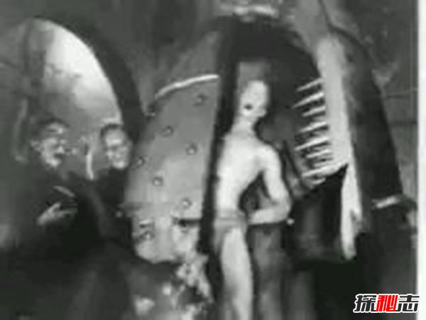 双鱼玉佩五张黑白照片,九头鸟让你神志不清579 / 作者:UFO爱好者 / 帖子ID:105241