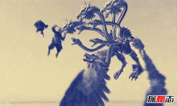 双鱼玉佩五张黑白照片,九头鸟让你神志不清894 / 作者:UFO爱好者 / 帖子ID:105241