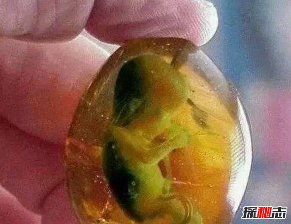 鬼玺是真实存在的吗,揭秘盗墓笔记中真实存在的27件诡异物品222 / 作者:UFO爱好者 / 帖子ID:105236