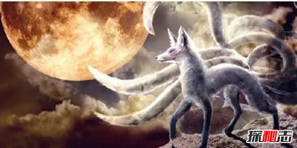 狐狸炼丹科学解释 揭秘狐狸炼丹是真的吗（成仙谣传）590 / 作者:UFO爱好者 / 帖子ID:105217