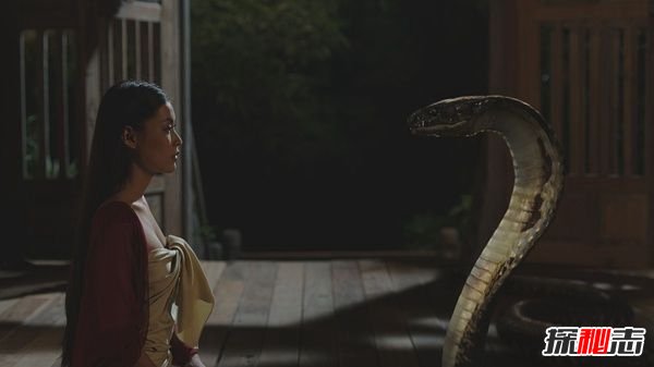 1998年黄河怪事蛇女 包工头杀掉白蛇工人全部自杀（捕风捉影）672 / 作者:UFO爱好者 / 帖子ID:105219