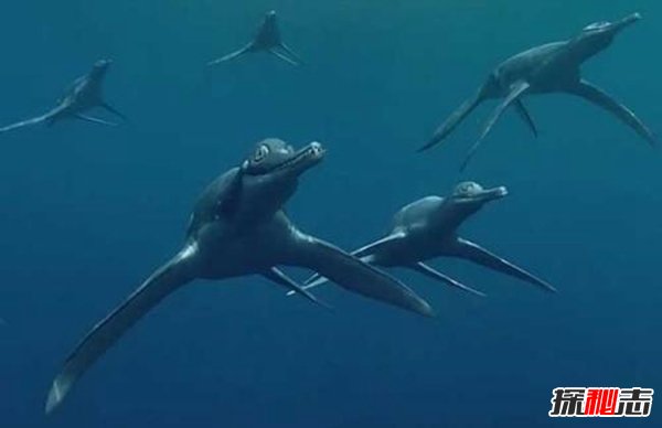 海洋十大霸主排名,第一名沧龙是海洋里无敌的存在482 / 作者:UFO爱好者 / 帖子ID:75421