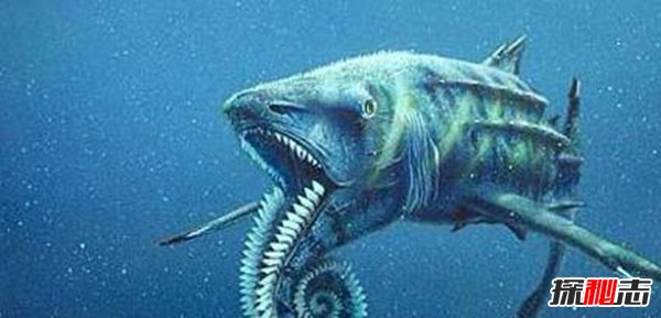 海洋十大霸主排名,第一名沧龙是海洋里无敌的存在747 / 作者:UFO爱好者 / 帖子ID:75421