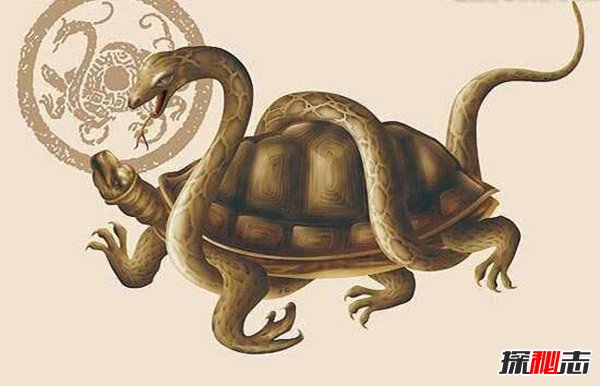 四大灵兽vs四大神兽 残忍朱雀以吃人度日（神话传说）298 / 作者:UFO爱好者 / 帖子ID:105176