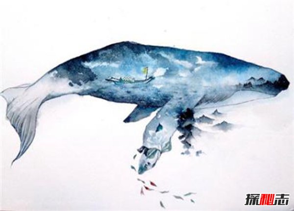 鲲鹏为什么吃龙 鲲鹏原型渤海海鲸（网友杜撰）112 / 作者:UFO爱好者 / 帖子ID:105179