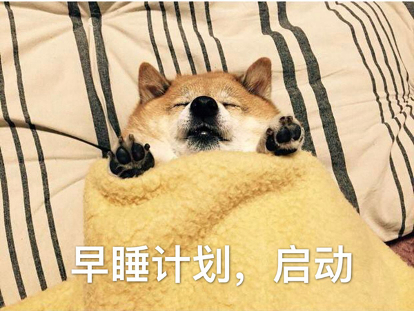 狗狗为什么会舔自己的屁股?如何减少狗狗舔屁股的次数441 / 作者:UFO爱好者 / 帖子ID:79909