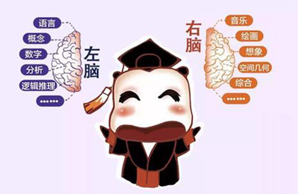 左脑和右脑有区别吗?左脑右脑哪个更发达的人聪明些245 / 作者:UFO爱好者 / 帖子ID:79545