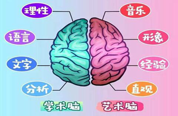 左脑和右脑有区别吗?左脑右脑哪个更发达的人聪明些715 / 作者:UFO爱好者 / 帖子ID:79545