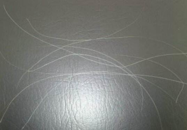 人老了头发为什么会变白?每个人头发变白的年龄相同吗540 / 作者:UFO爱好者 / 帖子ID:91445