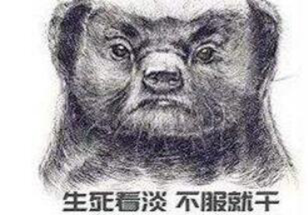 平头哥为什么那么记仇?这些原因简直太真实了807 / 作者:UFO爱好者 / 帖子ID:91321