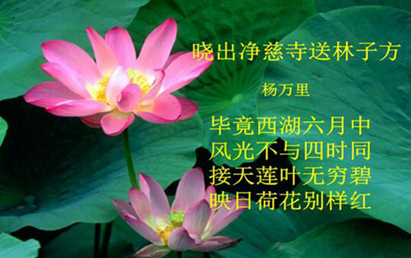 杨万里是哪个朝代的诗人 他有哪些比较伟大的成就207 / 作者:UFO爱好者 / 帖子ID:78799
