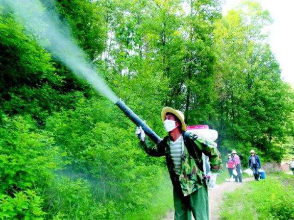 杀虫剂喷完多久后才能进入室内?杀虫剂的危害有哪些179 / 作者:UFO爱好者 / 帖子ID:78606