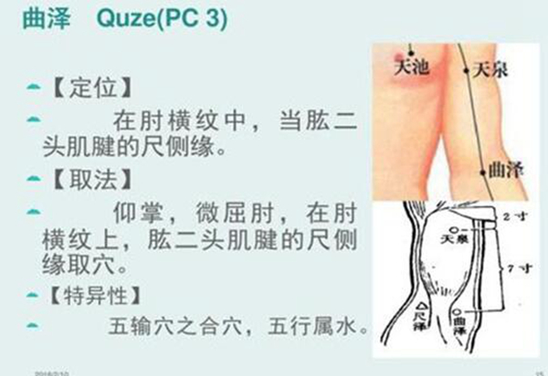 尺泽和曲泽的区别 专业人士可以区分（位置不同）367 / 作者:UFO爱好者 / 帖子ID:77994