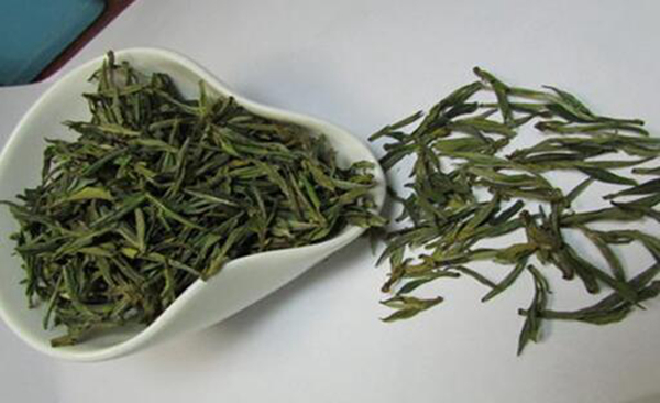 山黄茶的功效与作用 富含茶多酚具有抗癌防癌功效759 / 作者:UFO爱好者 / 帖子ID:77505