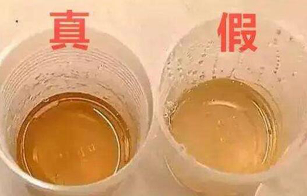 假蜂蜜特点有哪些 如何更好分辨真蜂蜜和假蜂蜜774 / 作者:UFO爱好者 / 帖子ID:77176