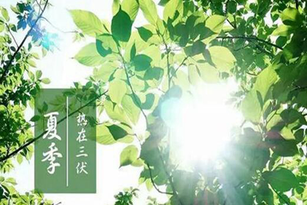 入伏应该注意什么 入伏后可用的食疗方法有哪些221 / 作者:UFO爱好者 / 帖子ID:76846