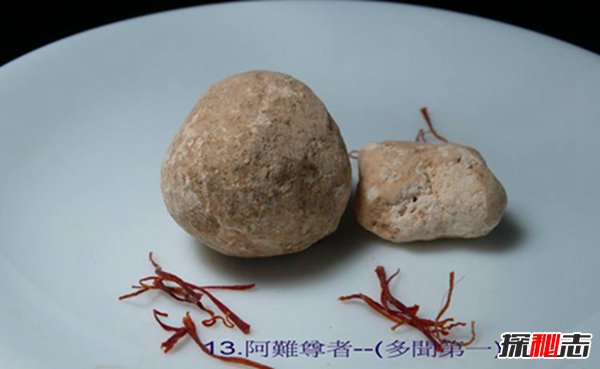 金刚经什么人不能念？揭秘常念金刚经好处与禁忌206 / 作者:UFO爱好者 / 帖子ID:104517