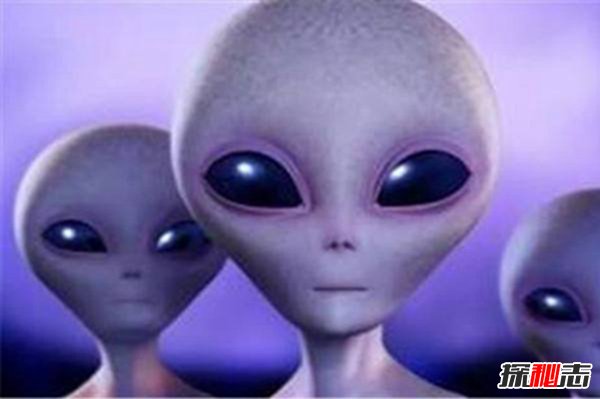 2013.7.9不明生物事件，或为外星人来地球/未发现物种551 / 作者:UFO爱好者 / 帖子ID:104494