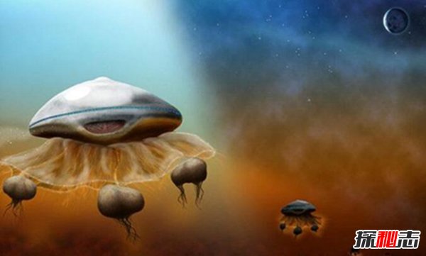 2013.7.9不明生物事件，或为外星人来地球/未发现物种827 / 作者:UFO爱好者 / 帖子ID:104494