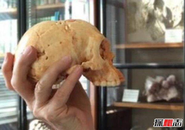 佛罗勒斯人还存在？真实版霍比特人遗址在哪717 / 作者:UFO爱好者 / 帖子ID:89015