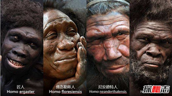 智人灭绝了多少物种？90%的物种被智人所灭绝（包括其他人种）436 / 作者:UFO爱好者 / 帖子ID:89003