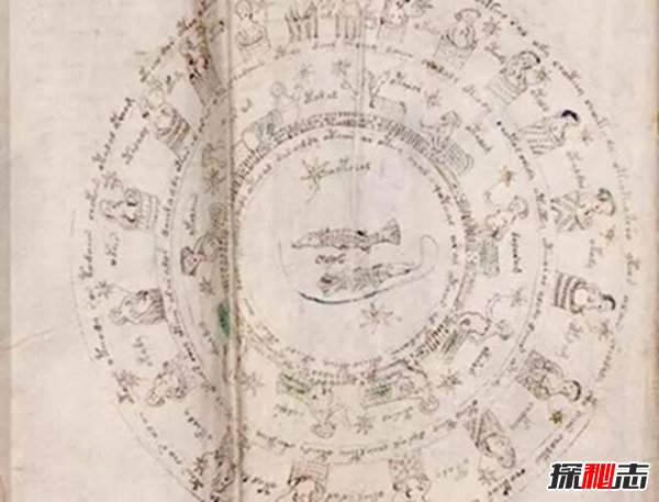 揭秘伏尼契手稿真相，简直让人啼笑皆非（妇女保健手册）650 / 作者:UFO爱好者 / 帖子ID:89002