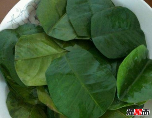 鬼最怕什么颜色？常见辟邪的东西有哪些（封建迷信）964 / 作者:UFO爱好者 / 帖子ID:88961