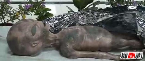 外星生物是否存在？外星人为什么不来地球（忽视/太远）431 / 作者:UFO爱好者 / 帖子ID:98048