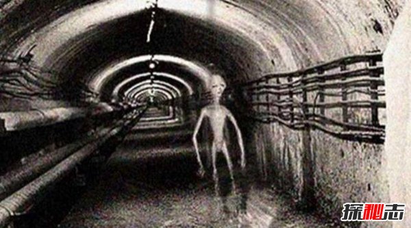 外星生物是否存在？外星人为什么不来地球（忽视/太远）396 / 作者:UFO爱好者 / 帖子ID:98048