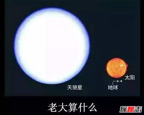 天狼星是否比太阳大？天狼星的质量是太阳多少倍420 / 作者:UFO爱好者 / 帖子ID:88956