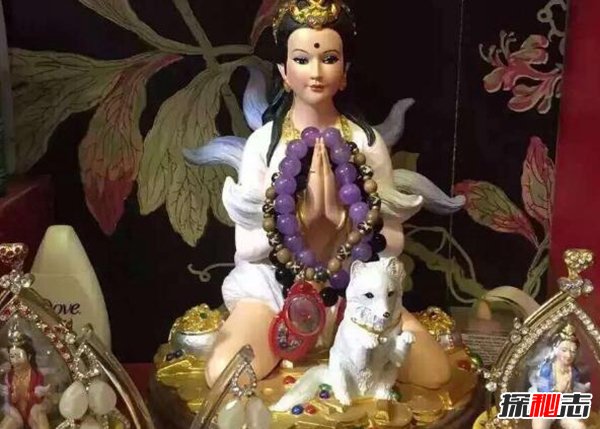 身上有狐仙的人都漂亮？怎样供奉狐仙比较好（传说人物）447 / 作者:UFO爱好者 / 帖子ID:104435