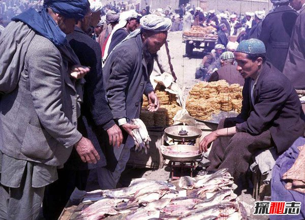 阿富汗为什么常年战乱？阿富汗被称帝国坟场原因揭秘157 / 作者:UFO爱好者 / 帖子ID:88855