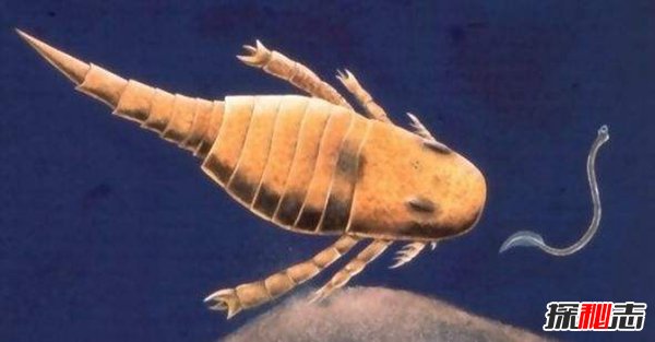 奥陶纪十大恐怖生物 其中几种依旧生活在海洋深处476 / 作者:UFO爱好者 / 帖子ID:98220
