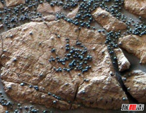 美国隐瞒火星生命？NASA为何隐瞒真相40年未曾揭露213 / 作者:UFO爱好者 / 帖子ID:97797