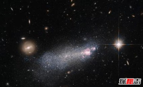 离太阳最近的十大恒星排名 比邻星第一距离4.2光年198 / 作者:UFO爱好者 / 帖子ID:97765