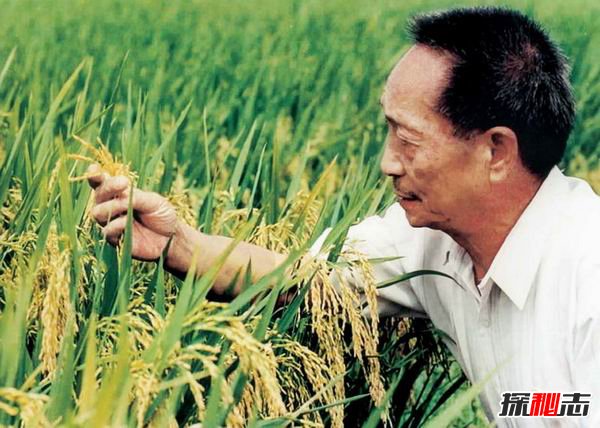 中国哪些技术世界第一？十项技术领先位于世界前列433 / 作者:UFO爱好者 / 帖子ID:98093