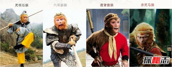 混世四猴分别是什么？混世四猴和七大神猿有什么关系799 / 作者:UFO爱好者 / 帖子ID:88655