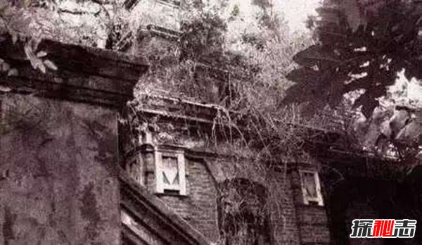 永生人叶先国是仙人吗？叶先国事件科学解释616 / 作者:UFO爱好者 / 帖子ID:104370