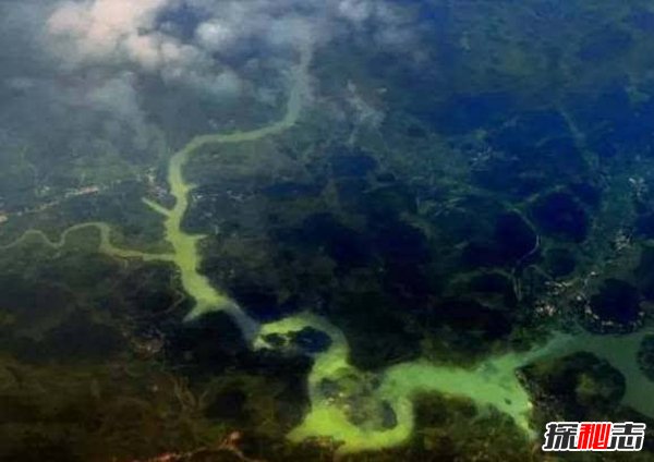 为什么中国被称为东方？东方巨龙是什么意思848 / 作者:UFO爱好者 / 帖子ID:83807