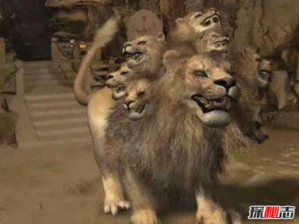西游记妖怪实力排名 六耳猕猴仅第二第一孙悟空都打不过862 / 作者:UFO爱好者 / 帖子ID:88515