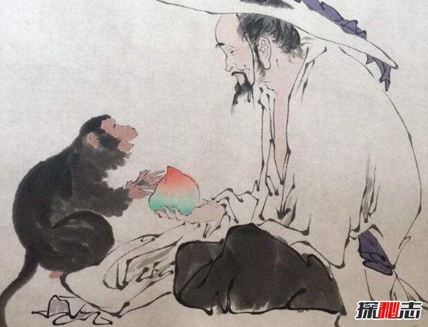 七大神猿分别是什么？七大神猿分别有哪些本领471 / 作者:UFO爱好者 / 帖子ID:88501