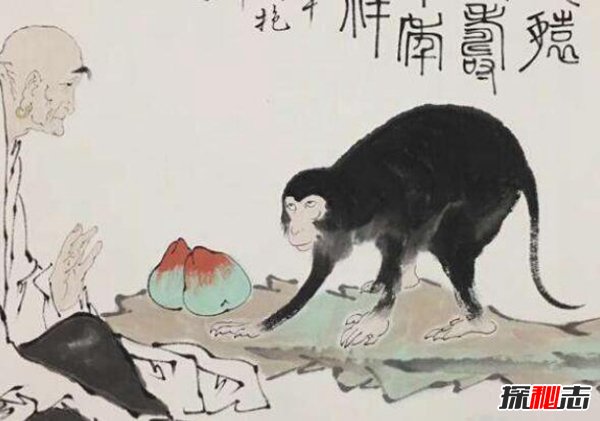 七大神猿分别是什么？七大神猿分别有哪些本领423 / 作者:UFO爱好者 / 帖子ID:88501