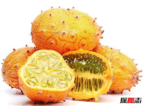 世界十大最恶心水果 第一让人恐惧无比第三相当邪恶346 / 作者:UFO爱好者 / 帖子ID:97634