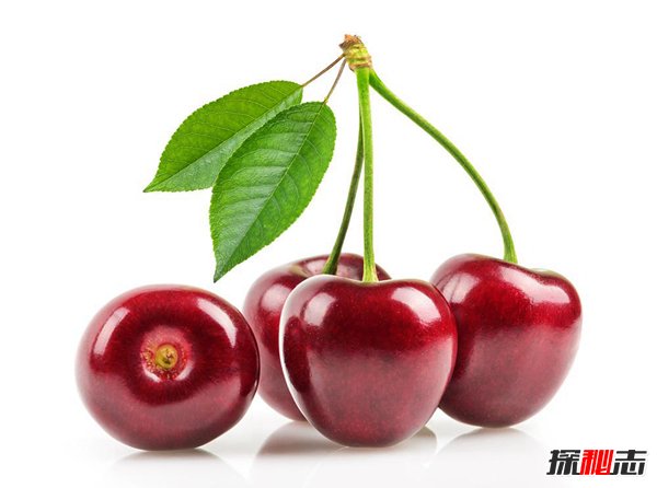 世界十大公认最健康水果 第一营养价值高生活常见748 / 作者:UFO爱好者 / 帖子ID:97654