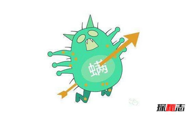世界十大常见害虫 第二第三夏天乱飞极其常见690 / 作者:UFO爱好者 / 帖子ID:97197