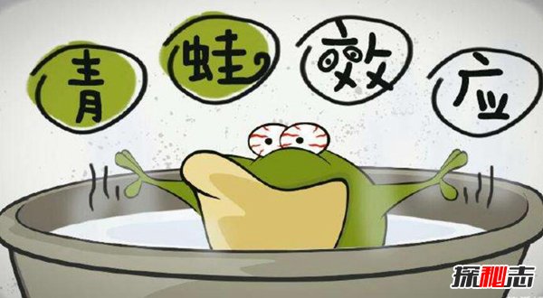 什么是青蛙效应？青蛙效应的启示和应用264 / 作者:UFO爱好者 / 帖子ID:87627