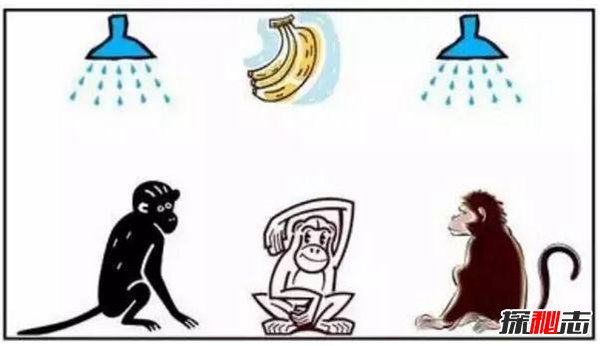 五只猴子道德起源启示 湿猴定律说明什么879 / 作者:UFO爱好者 / 帖子ID:87342