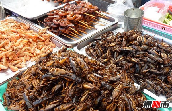 世界十大最恶心重口味食物 金粒餐来自日本处女大便所制663 / 作者:UFO爱好者 / 帖子ID:96555