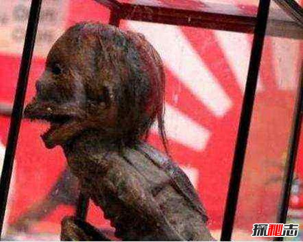 水猴子长什么样的？水猴子水鬼图片揭秘(恐怖至极）451 / 作者:UFO爱好者 / 帖子ID:88429