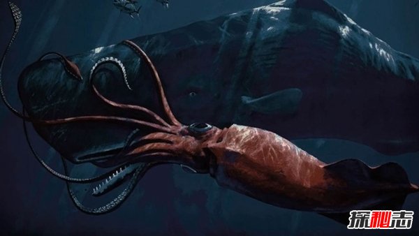 揭秘现存的六大古生物 科莫多巨蜥超级凶猛攻击人类662 / 作者:UFO爱好者 / 帖子ID:84161
